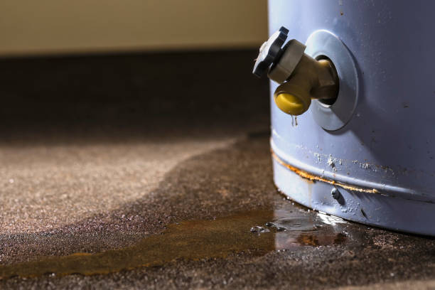 Best Ceiling water damage repair  in Fordyce, AR