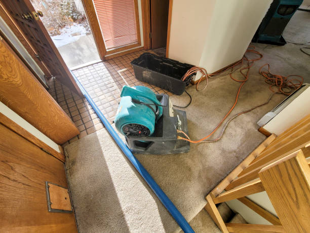 Best Basement water damage restoration  in Fordyce, AR