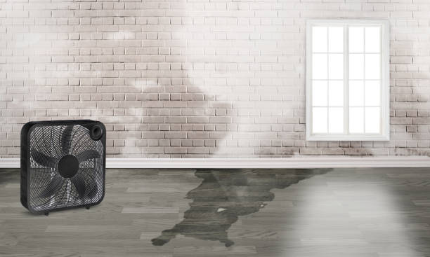 Best Residential water damage restoration  in Fordyce, AR