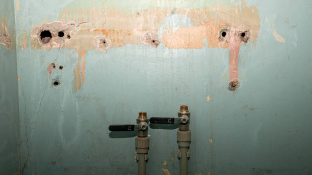 Best Water damage restoration company  in Fordyce, AR