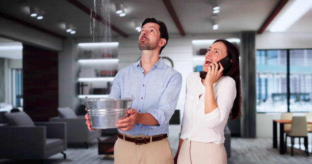 Best Professional water damage repair  in Fordyce, AR